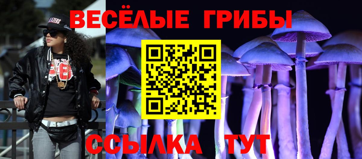 Галлюциногенные грибы MAGIC MUSHROOMS  Вход с VPN  Тобольск 